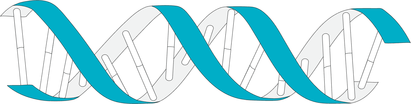 dna